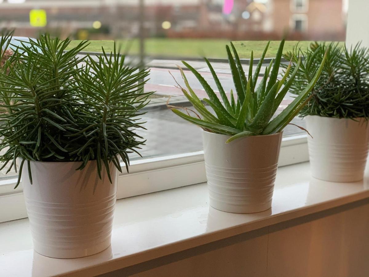 De Oude Wasserij Doesburg Eksteriør billede